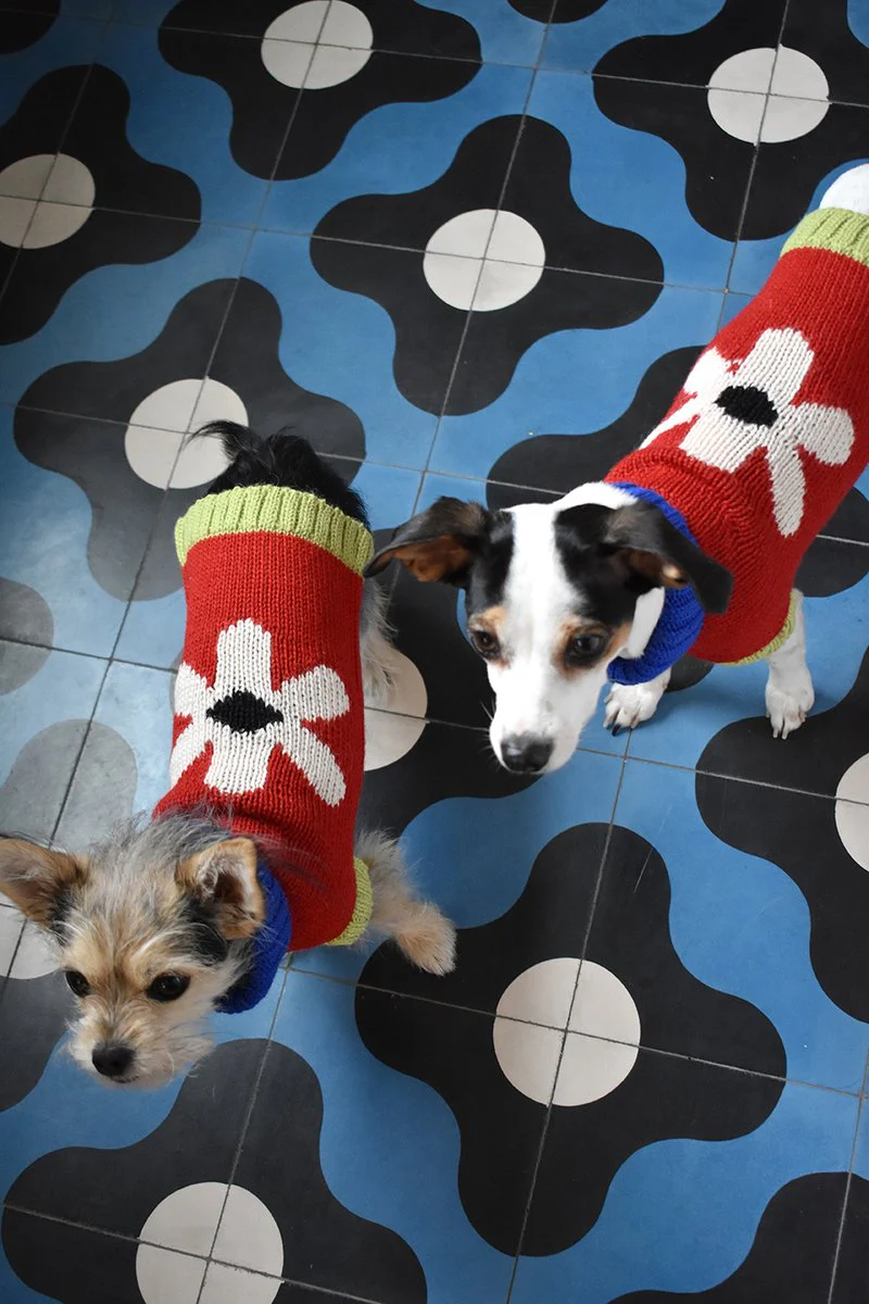 DUSEN DUSEN | Flower Dog Sweater - Image 2