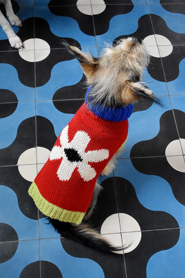 DUSEN DUSEN | Flower Dog Sweater - Image 3
