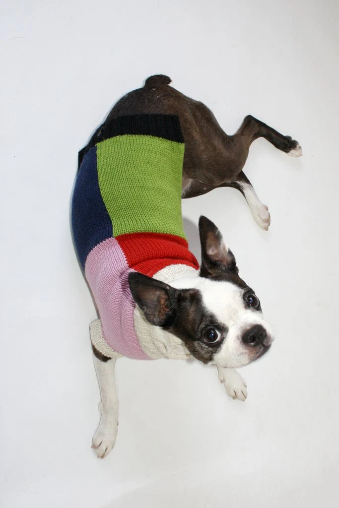 DUSEN DUSEN | Grid Dog Sweater - Image 2