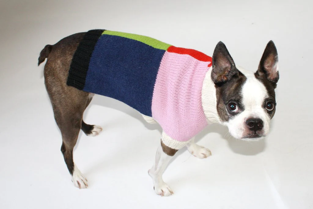 DUSEN DUSEN | Grid Dog Sweater - Image 3