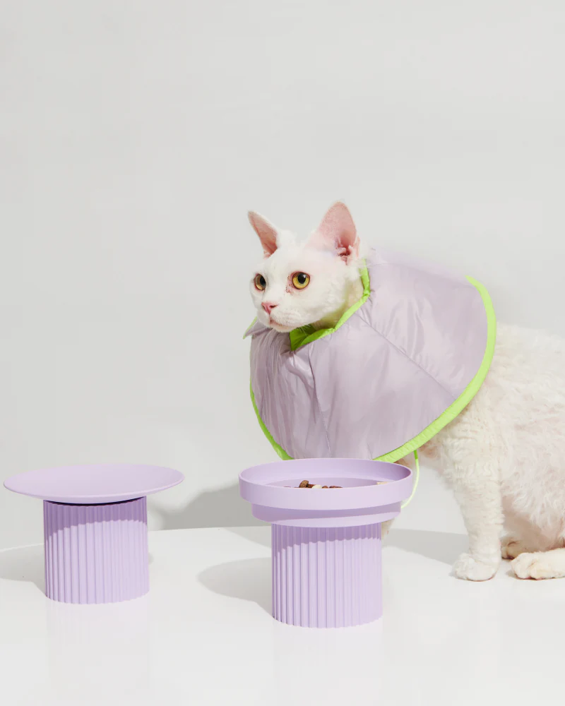 E-Collar in Violet - Image 3