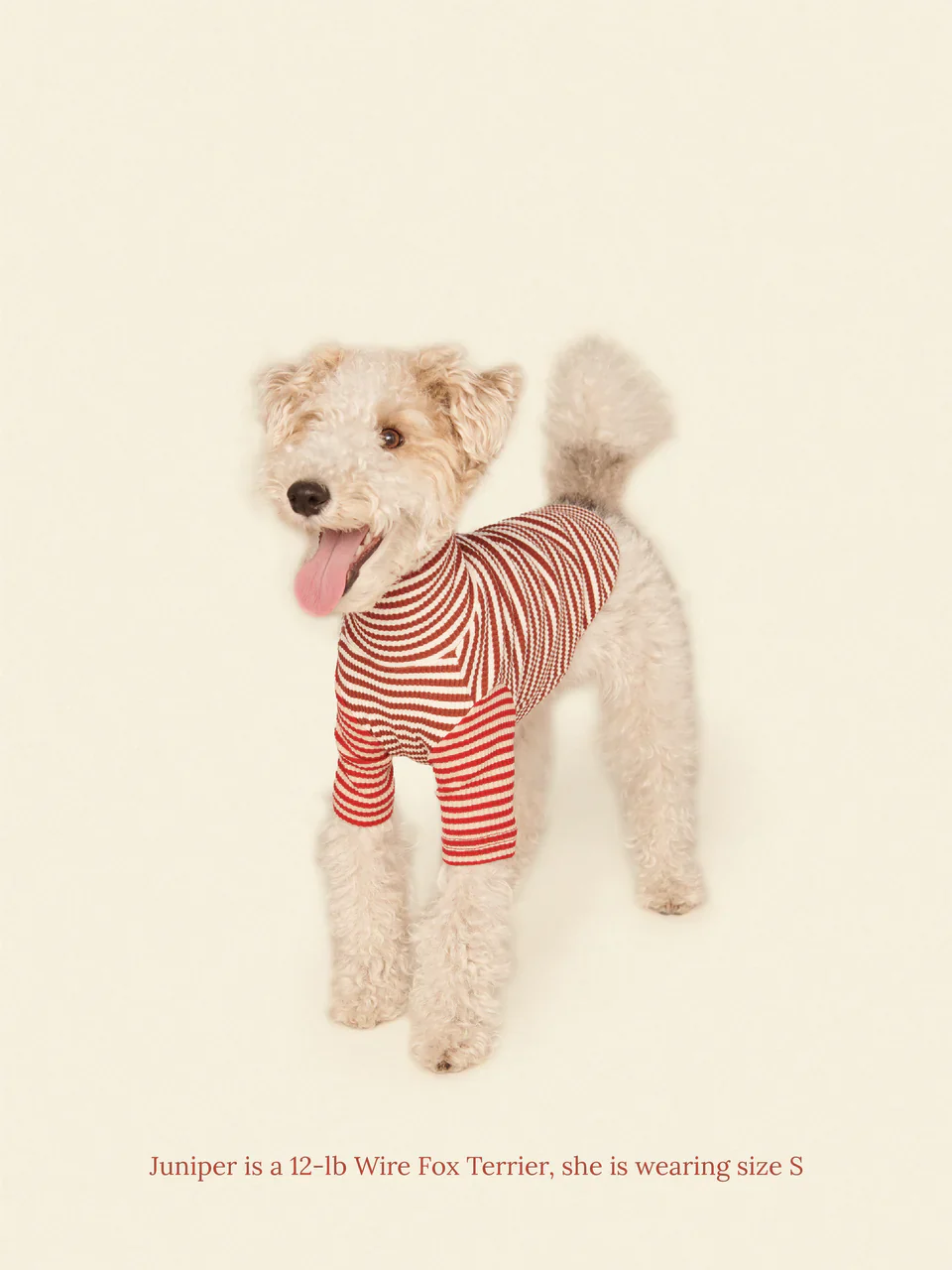 Earth and Fire Ribbed Dog Shirt - Image 3