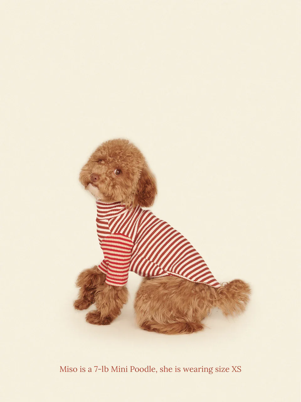 Earth and Fire Ribbed Dog Shirt - Image 5