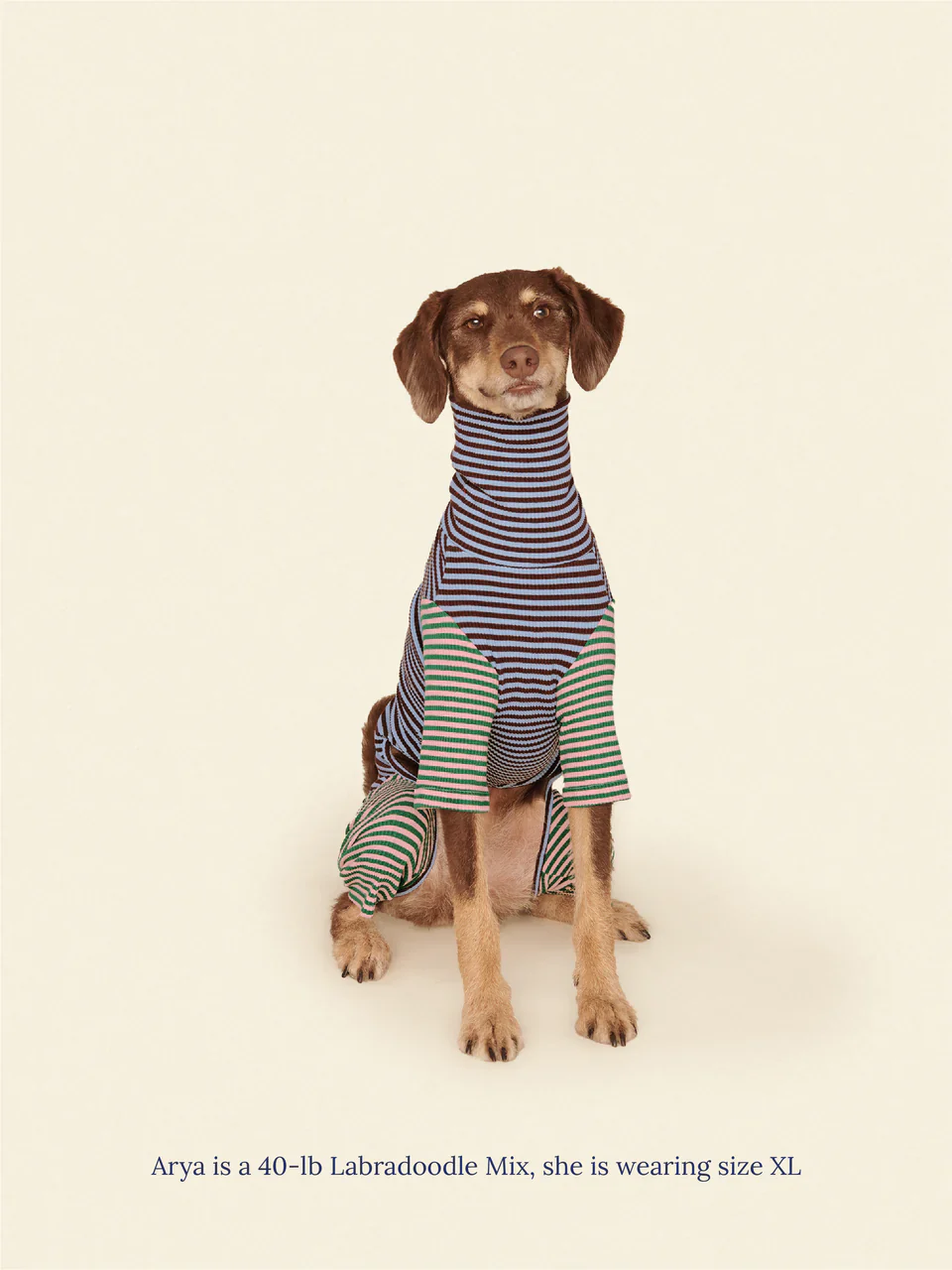 Earth and Sky Dog Onesie - Image 3