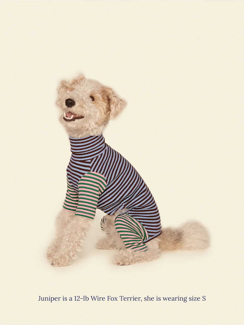 Earth and Sky Dog Onesie - Image 4