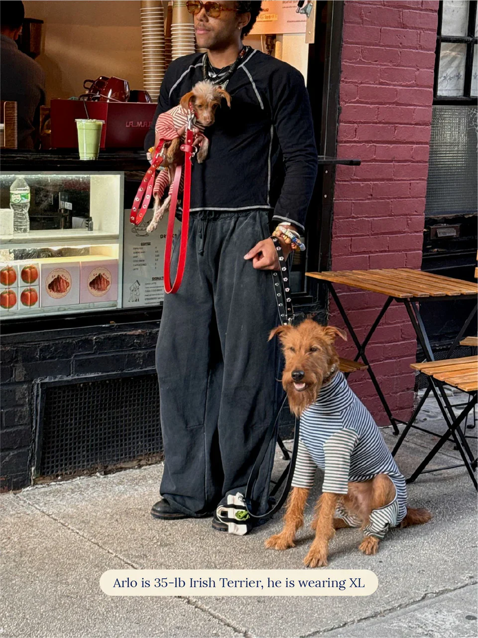 Earth and Sky Dog Onesie - Image 6