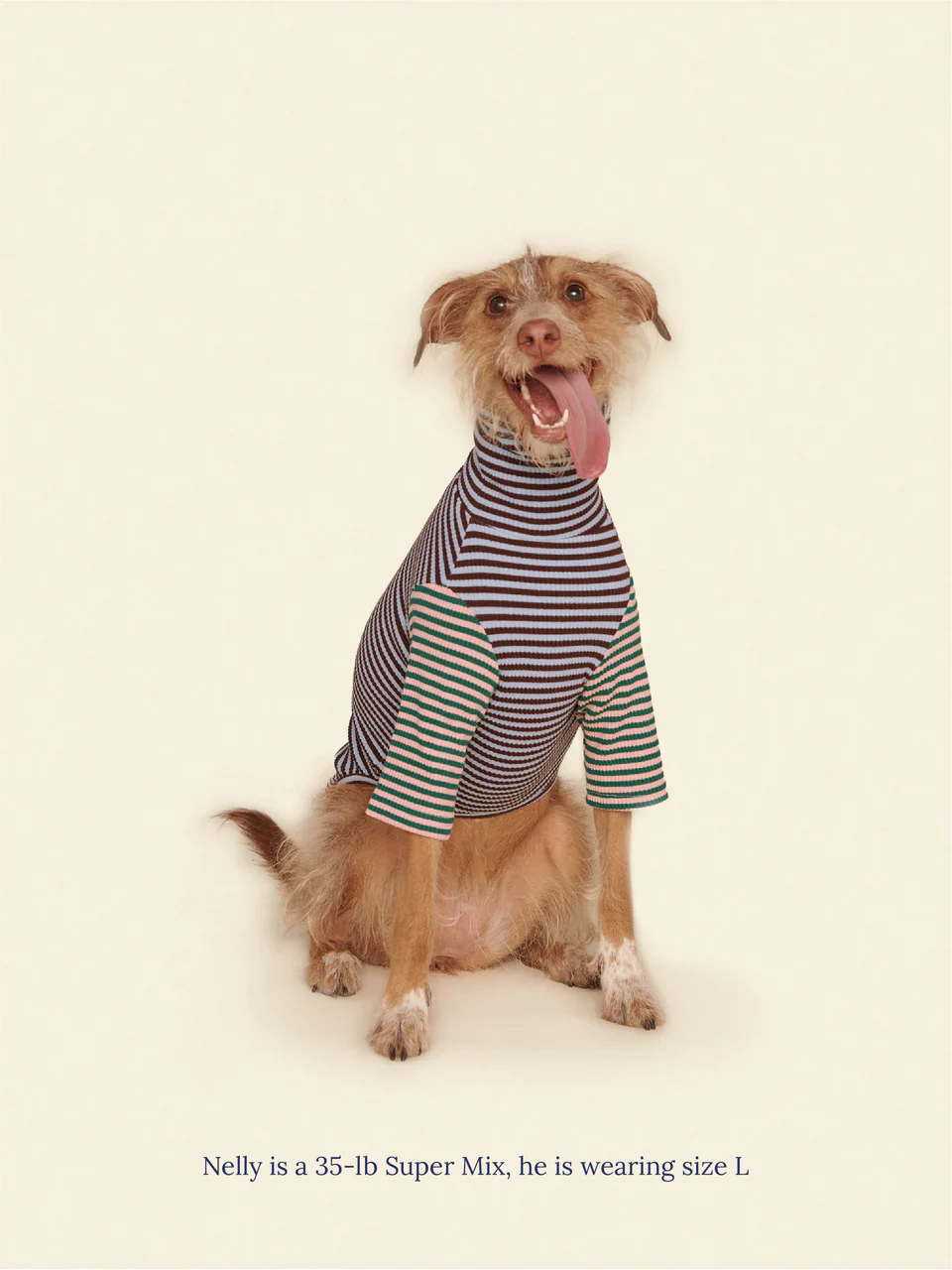 Earth and Sky Ribbed Dog Shirt - Image 2