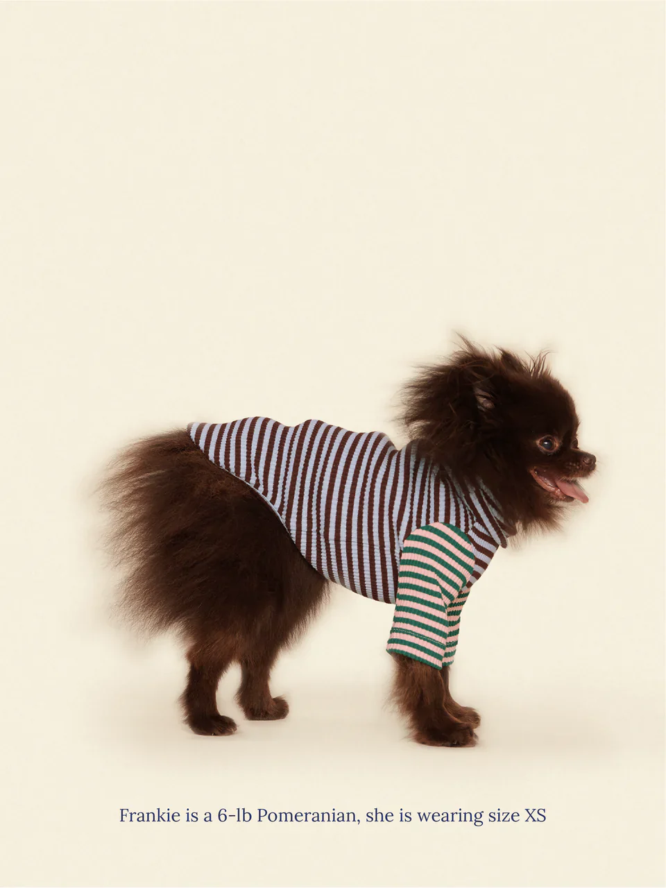 Earth and Sky Ribbed Dog Shirt - Image 3