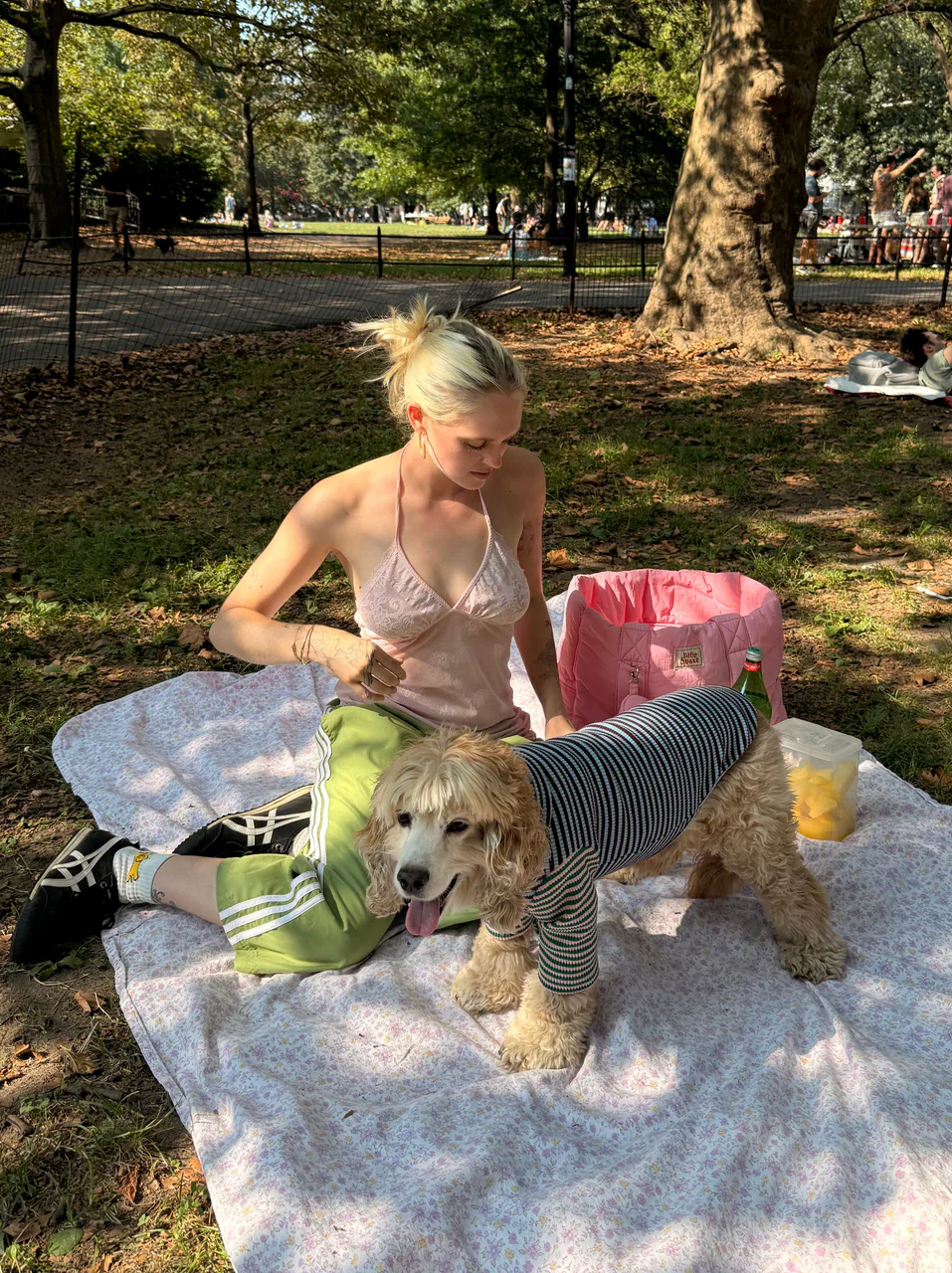 Earth and Sky Ribbed Dog Shirt - Image 4