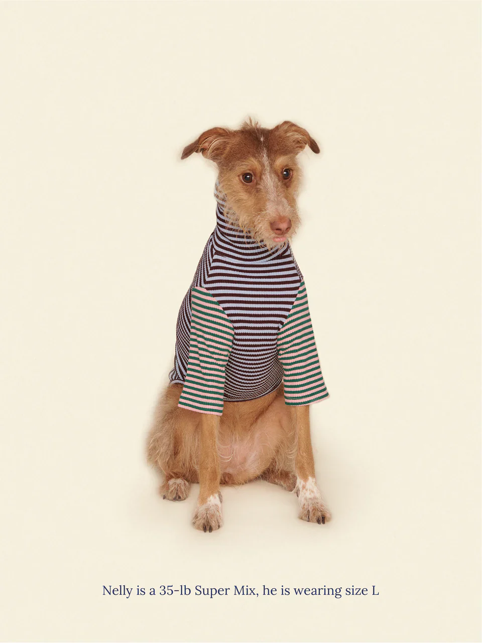 Earth and Sky Ribbed Dog Shirt - Image 6