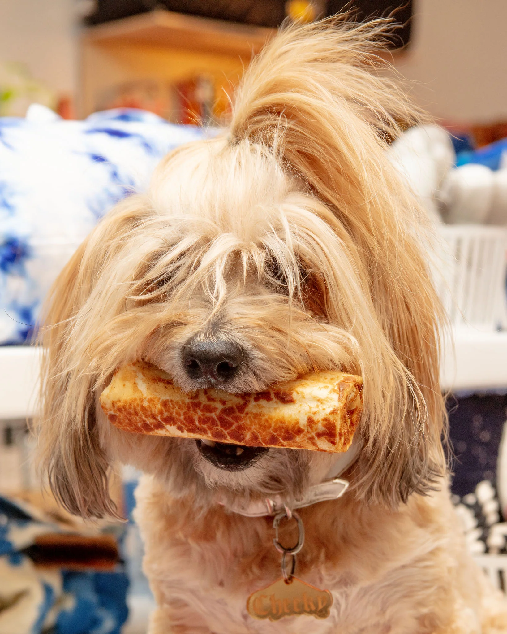 No-Hide Wholesome Dog Chew in Chicken - Image 12