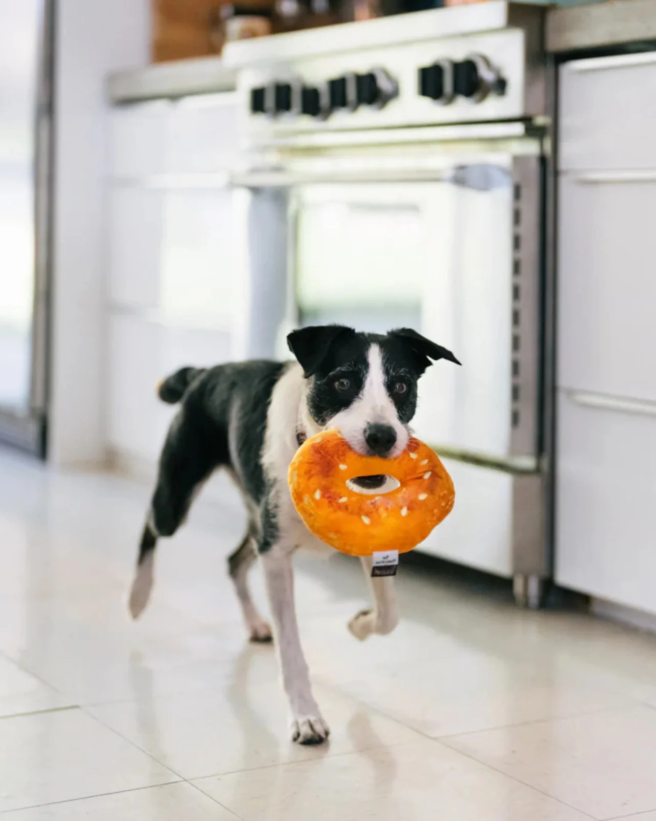 Earth Rated x P.L.A.Y. Montreal Bagel Squeak + Crinkle Dog Toy - Image 2