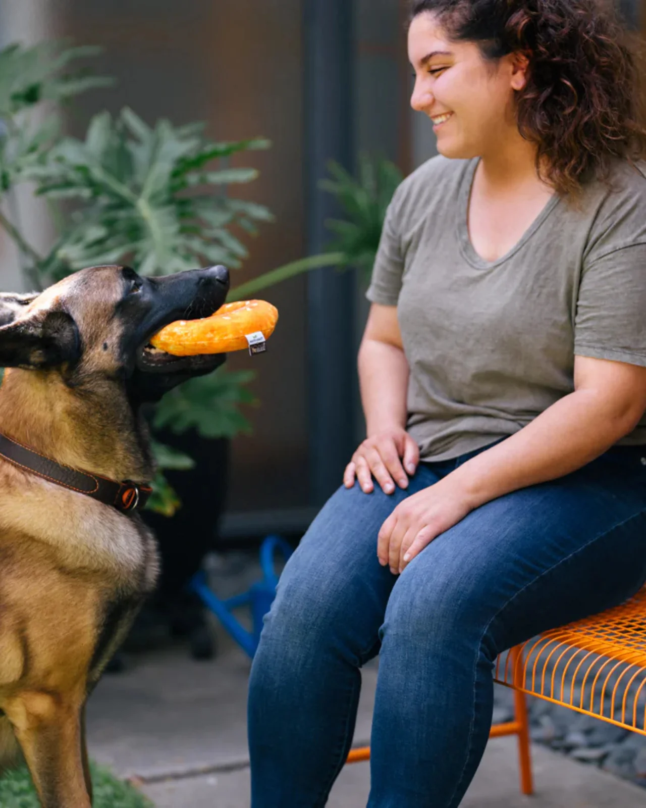Earth Rated x P.L.A.Y. Montreal Bagel Squeak + Crinkle Dog Toy - Image 5