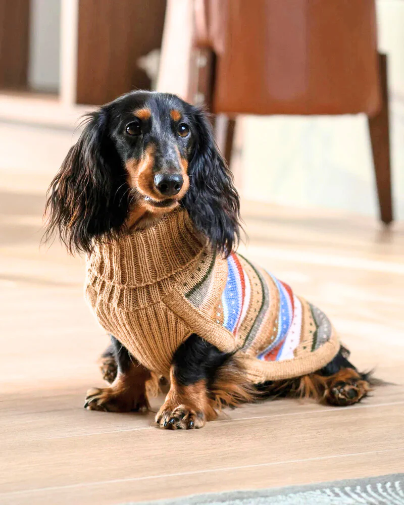 Earthy Stripes Alpaca Dog Sweater