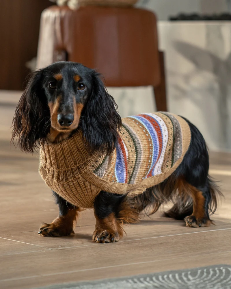 Earthy Stripes Alpaca Dog Sweater - Image 4
