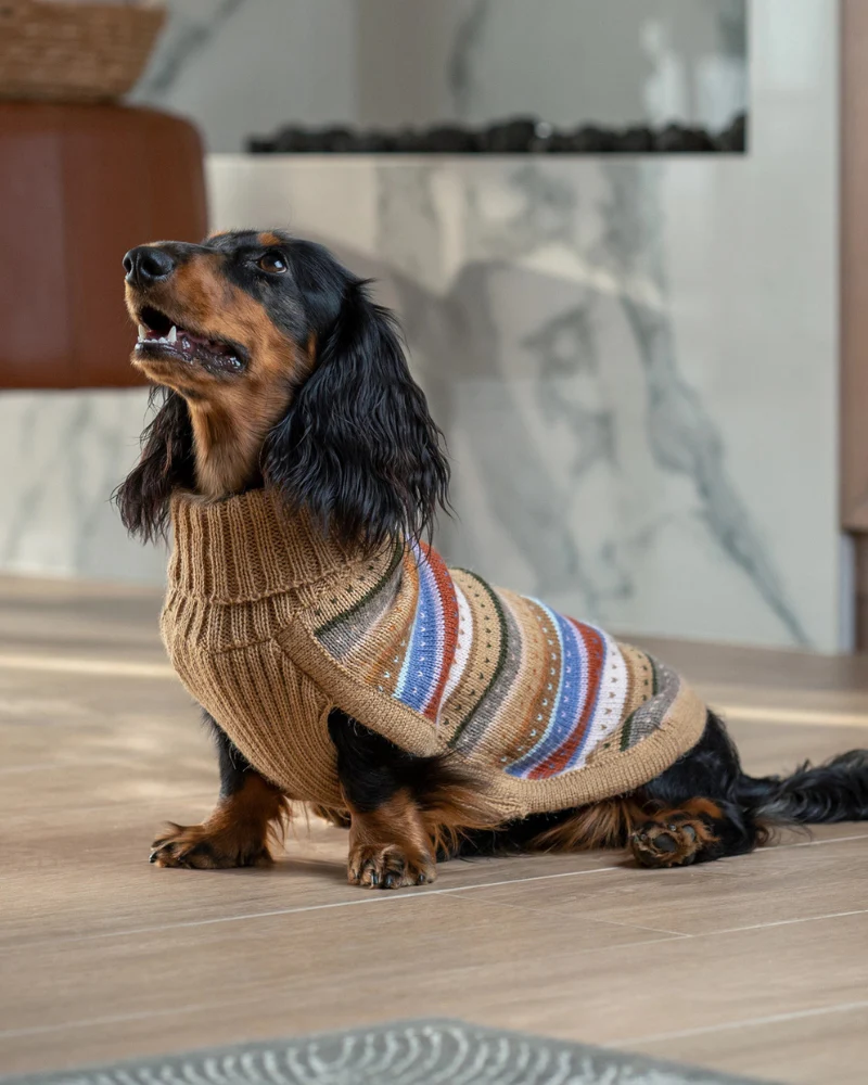 Earthy Stripes Alpaca Dog Sweater - Image 5