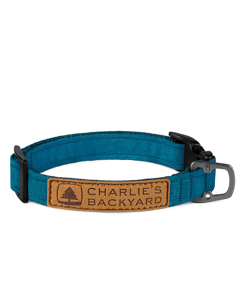 Easy Dog Collar in Teal (FINAL SALE) - Image 2