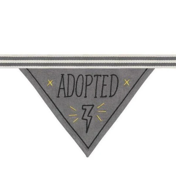 EASY TIGER | Adopted Bandana