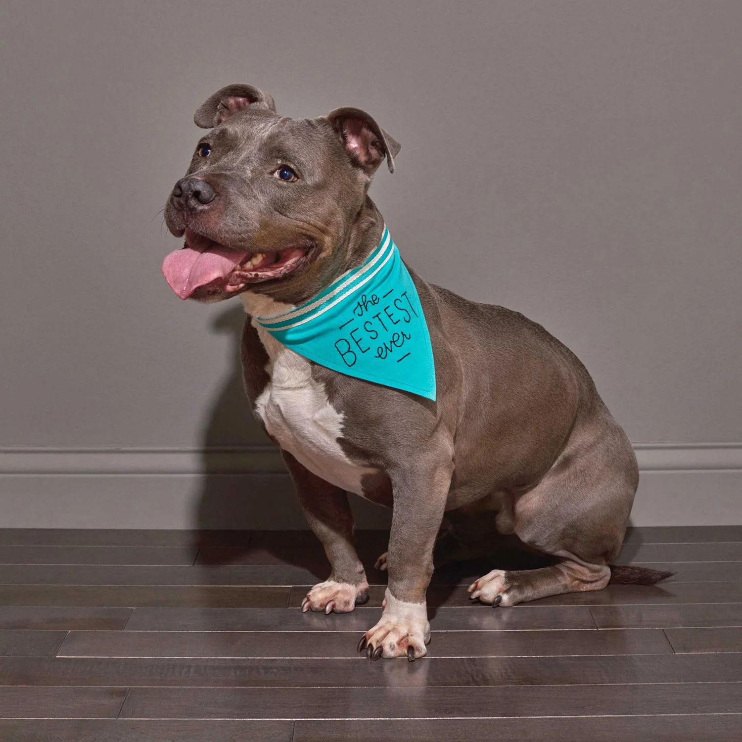EASY TIGER | Bestest Bandana - Image 3