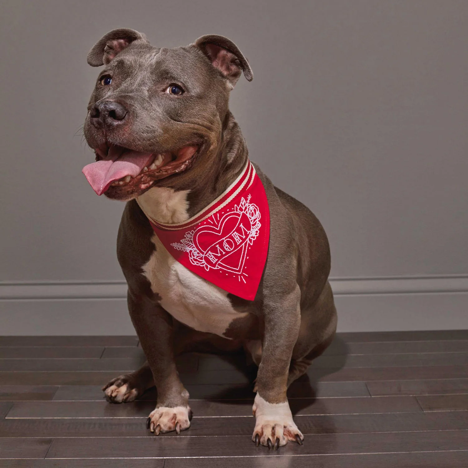 EASY TIGER | Mom Bandana - Image 3