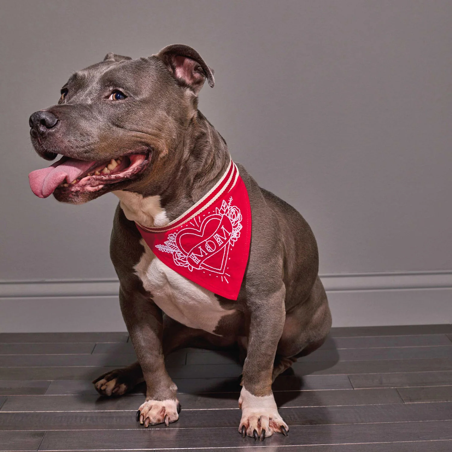 EASY TIGER | Mom Bandana - Image 4