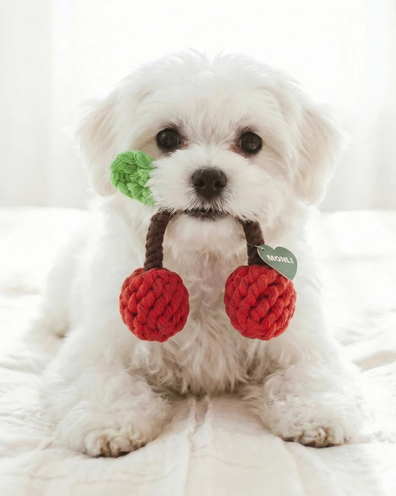 Eco-Friendly Cherries Rope Dog Toy - Image 2