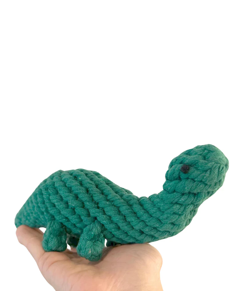 Eco-Friendly Dinosaur Rope Dog Toy - Image 4