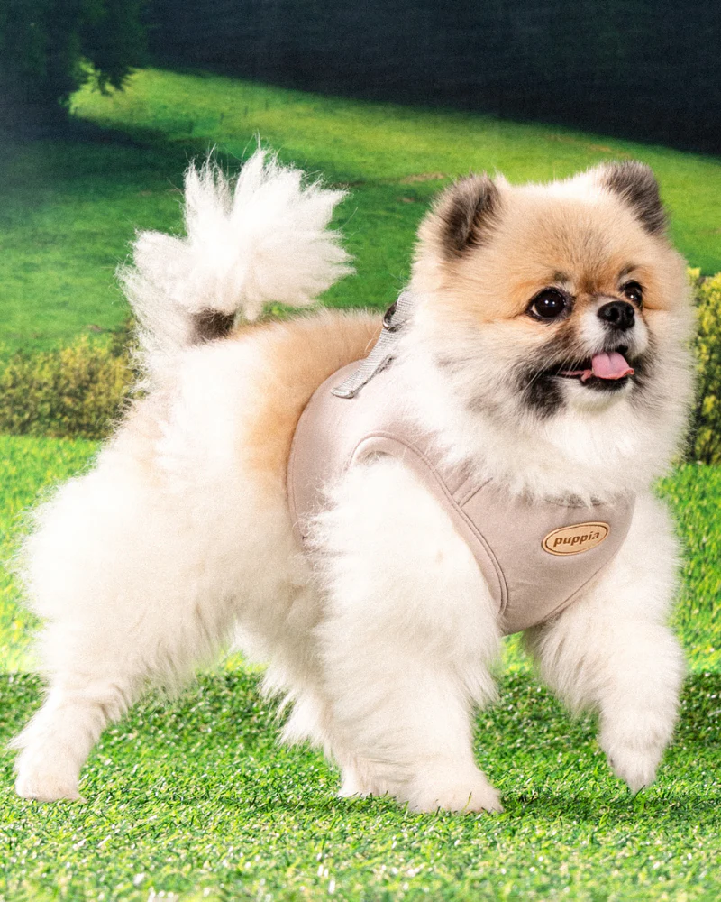 Eco Soft Padded Mesh Harness Vest in Beige - Image 2