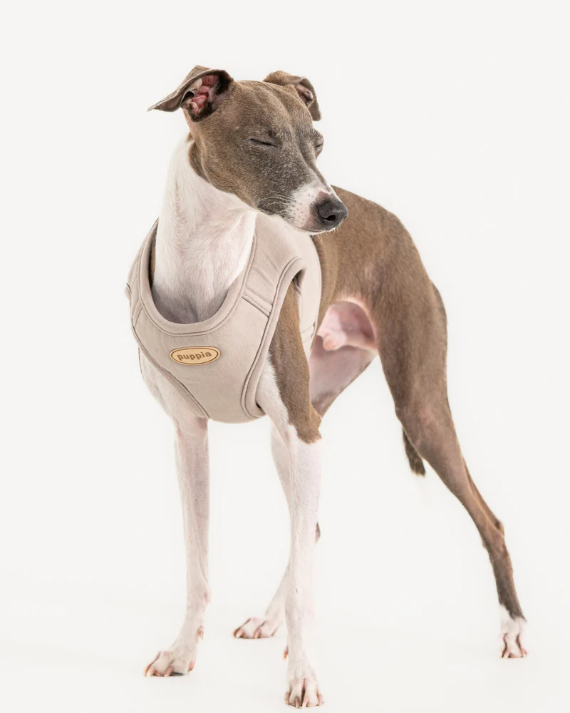 Eco Soft Padded Mesh Harness Vest in Beige - Image 3