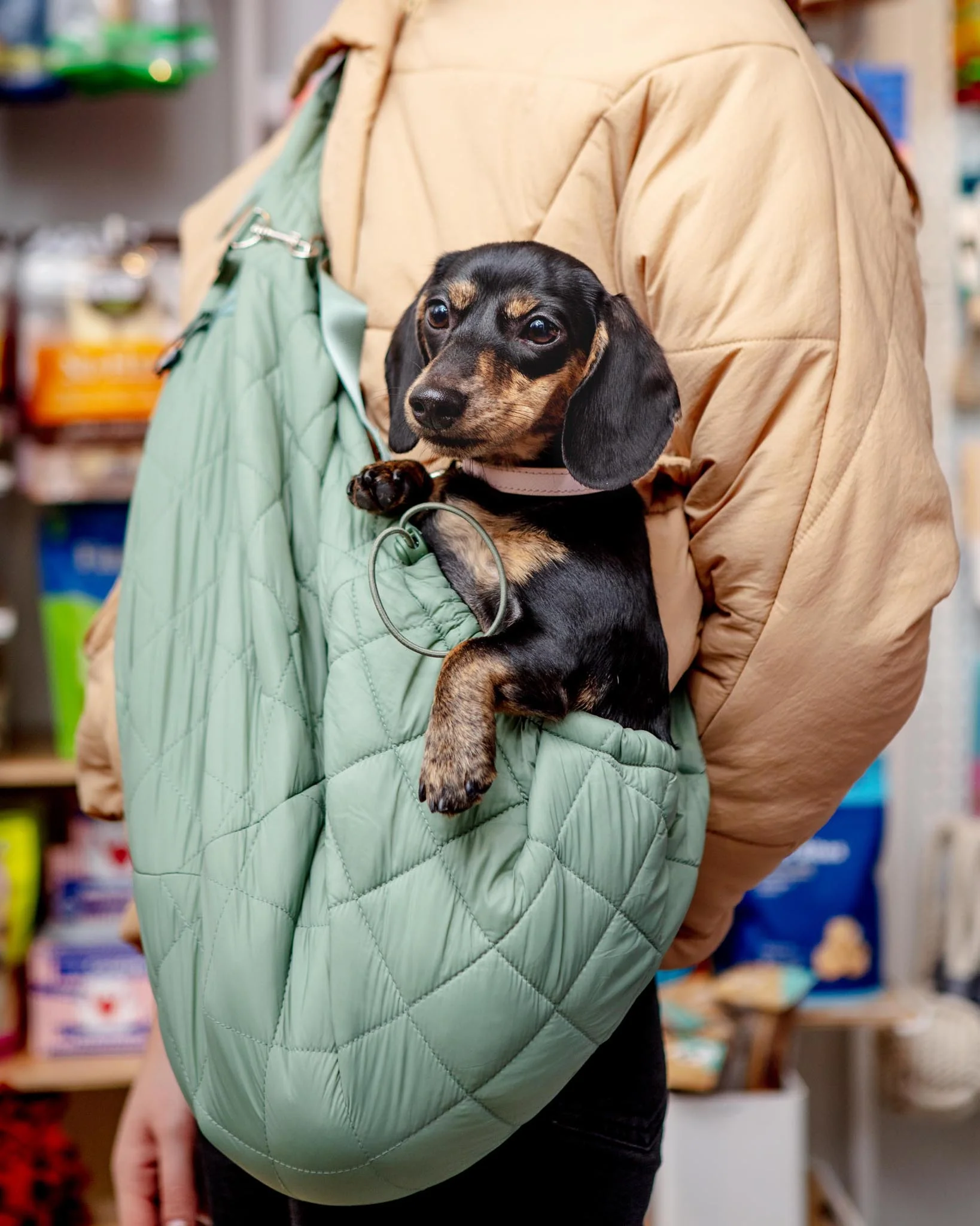 Eco Packable Dog Sling Carrier - Image 2