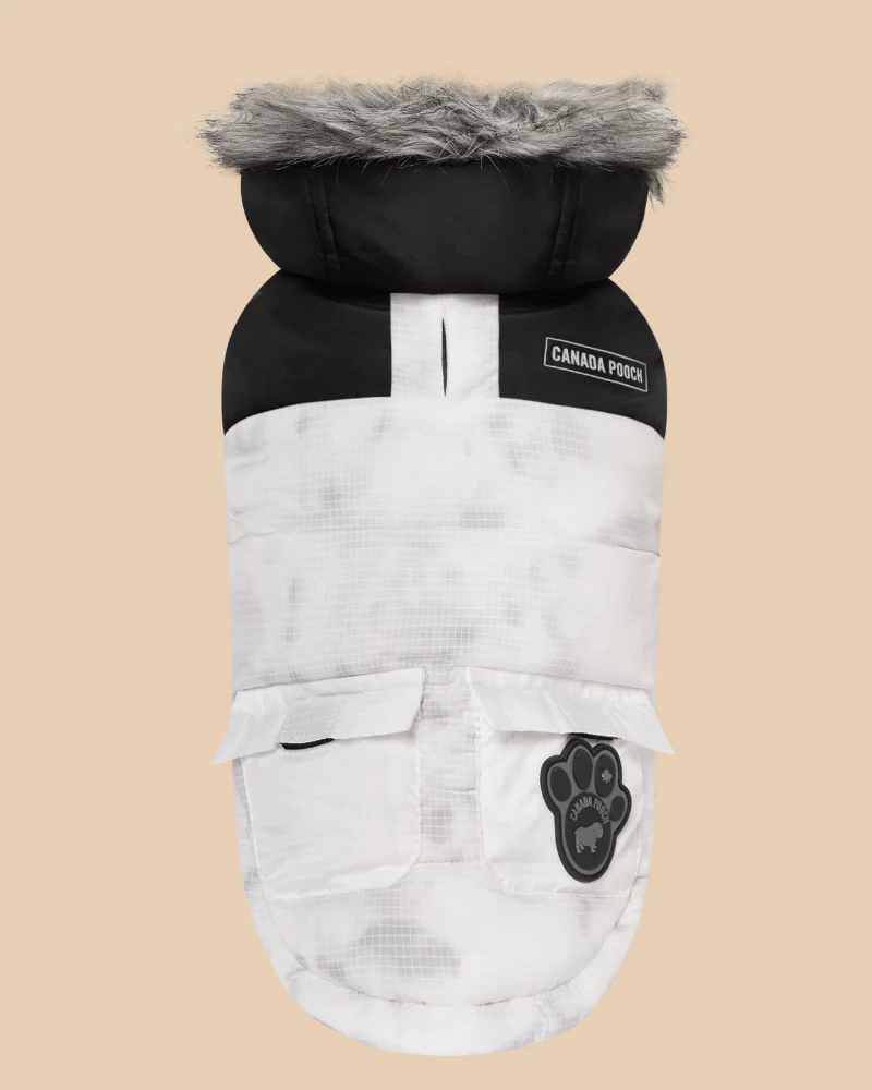 Eco True North Dog Parka in Marble << FINAL SALE >>