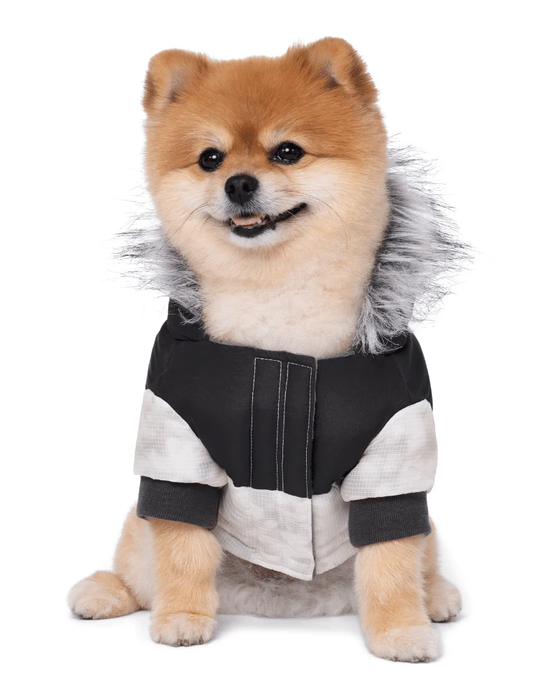Eco True North Dog Parka in Marble << FINAL SALE >> - Image 4