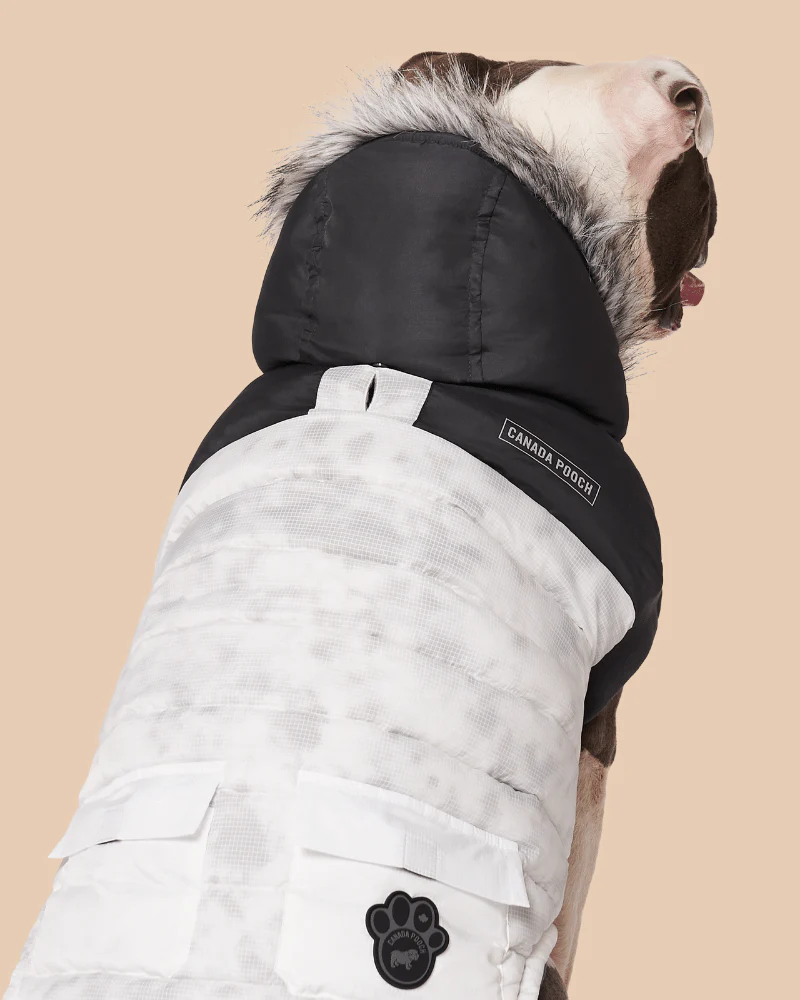 Eco True North Dog Parka in Marble << FINAL SALE >> - Image 5
