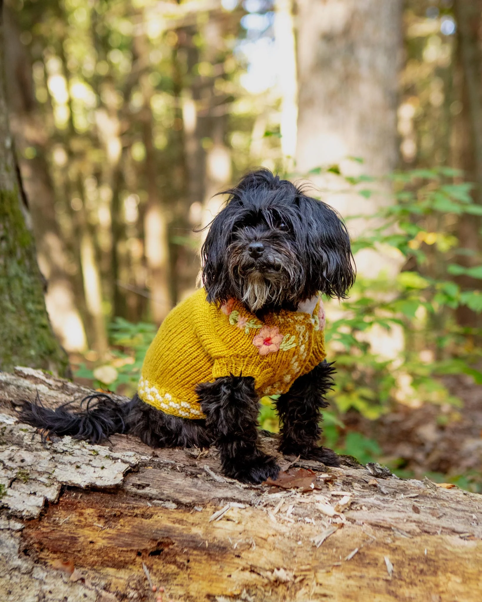 Yellow Floral Eileen Hand Embroidered Knitted Wool Dog Sweater