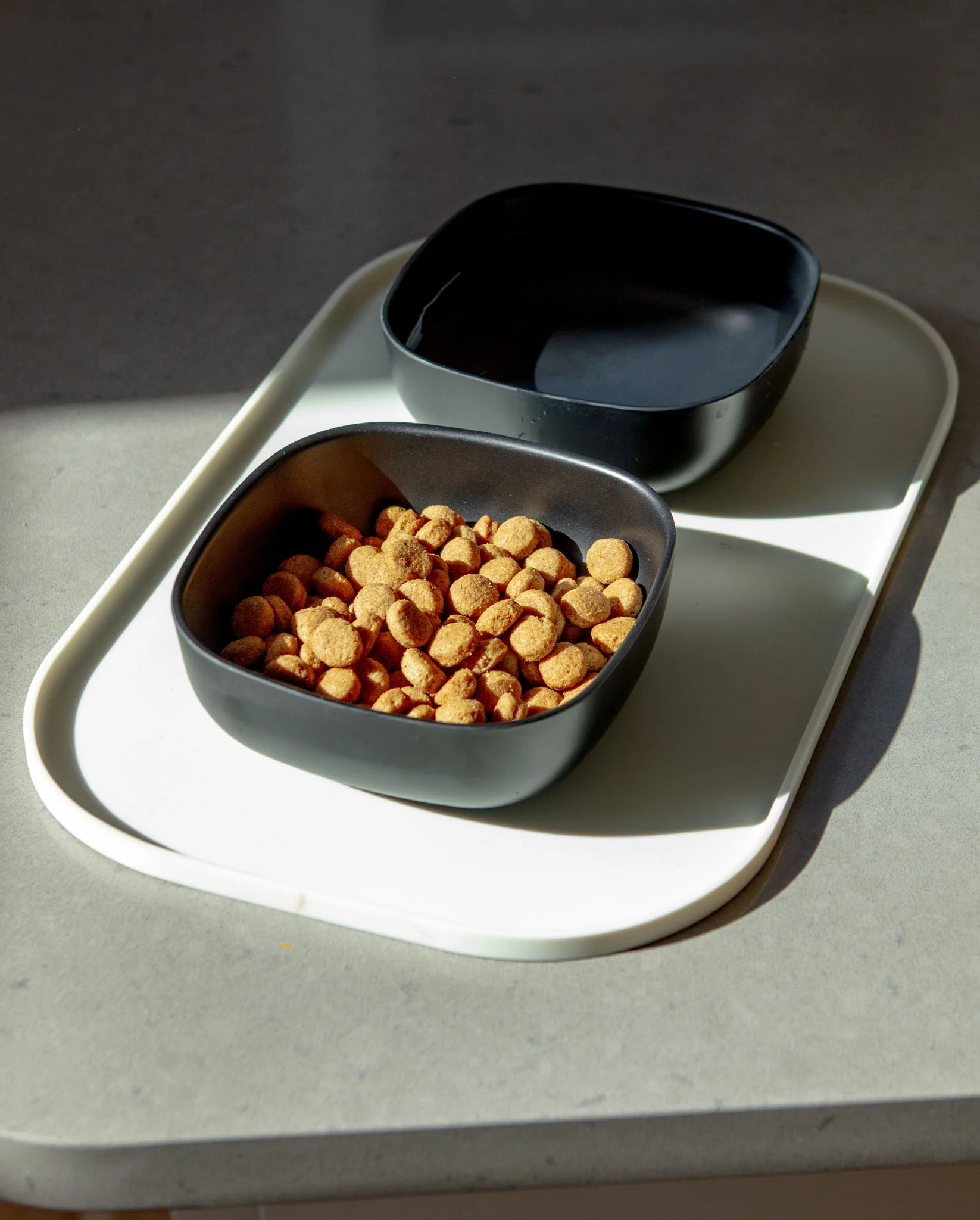 Biobu Gusto Dog Bowl in Black (FINAL SALE) - Image 5