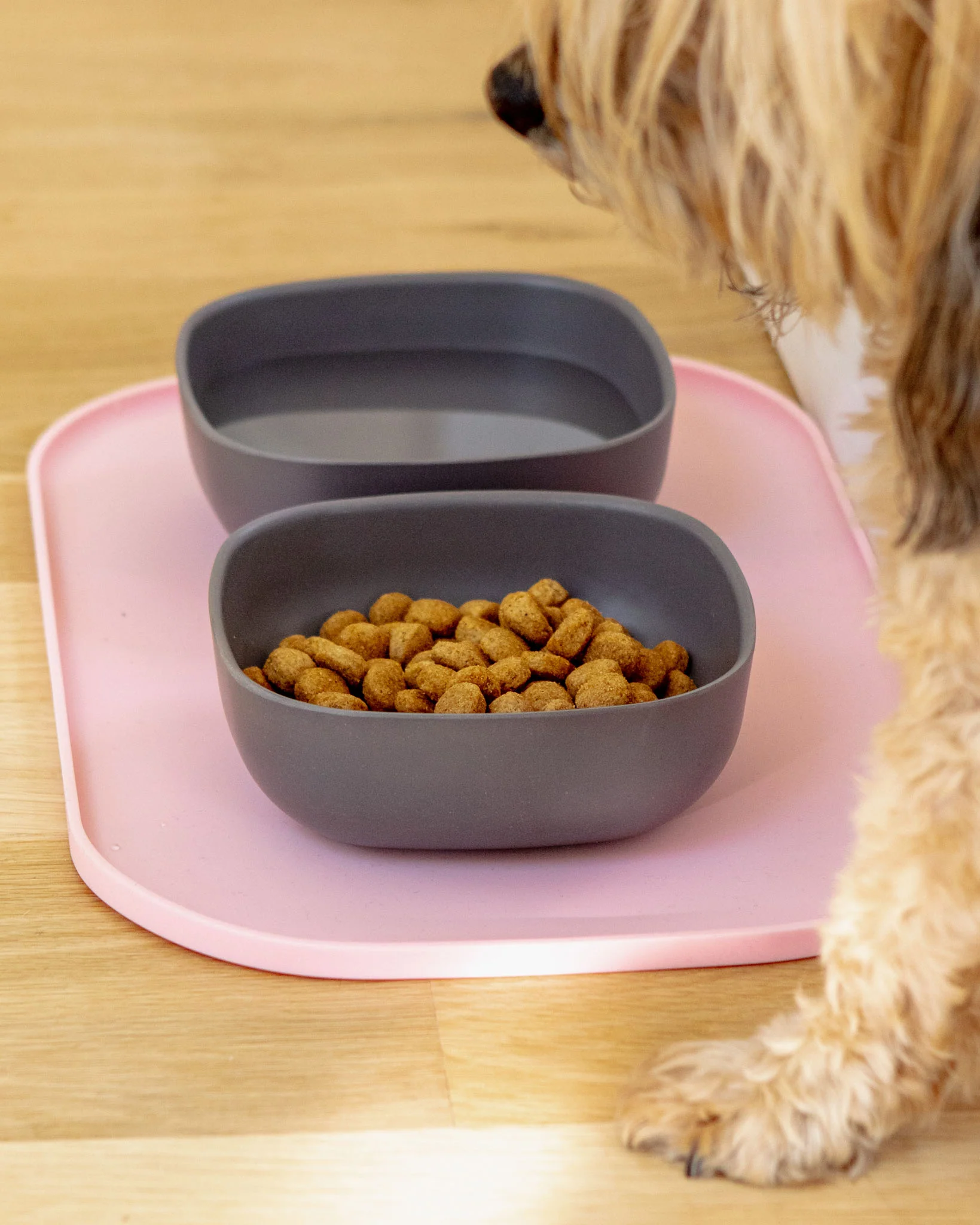 Biobu Gusto Dog Bowl in Smoke - Image 4