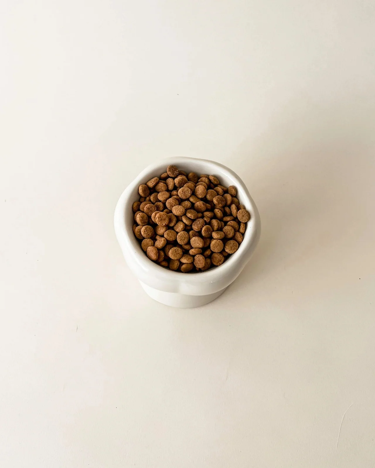 Elevated Pet Food Bowl in Creamy Beige - Image 3