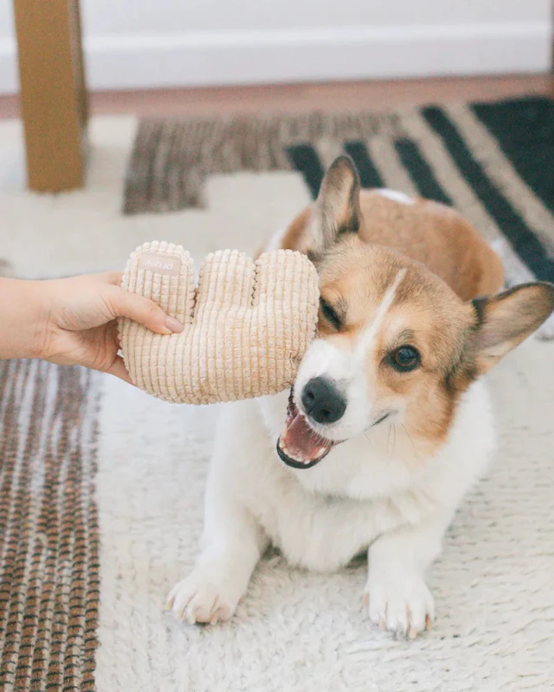 Em Plush Squeaky Dog Toy - Image 2