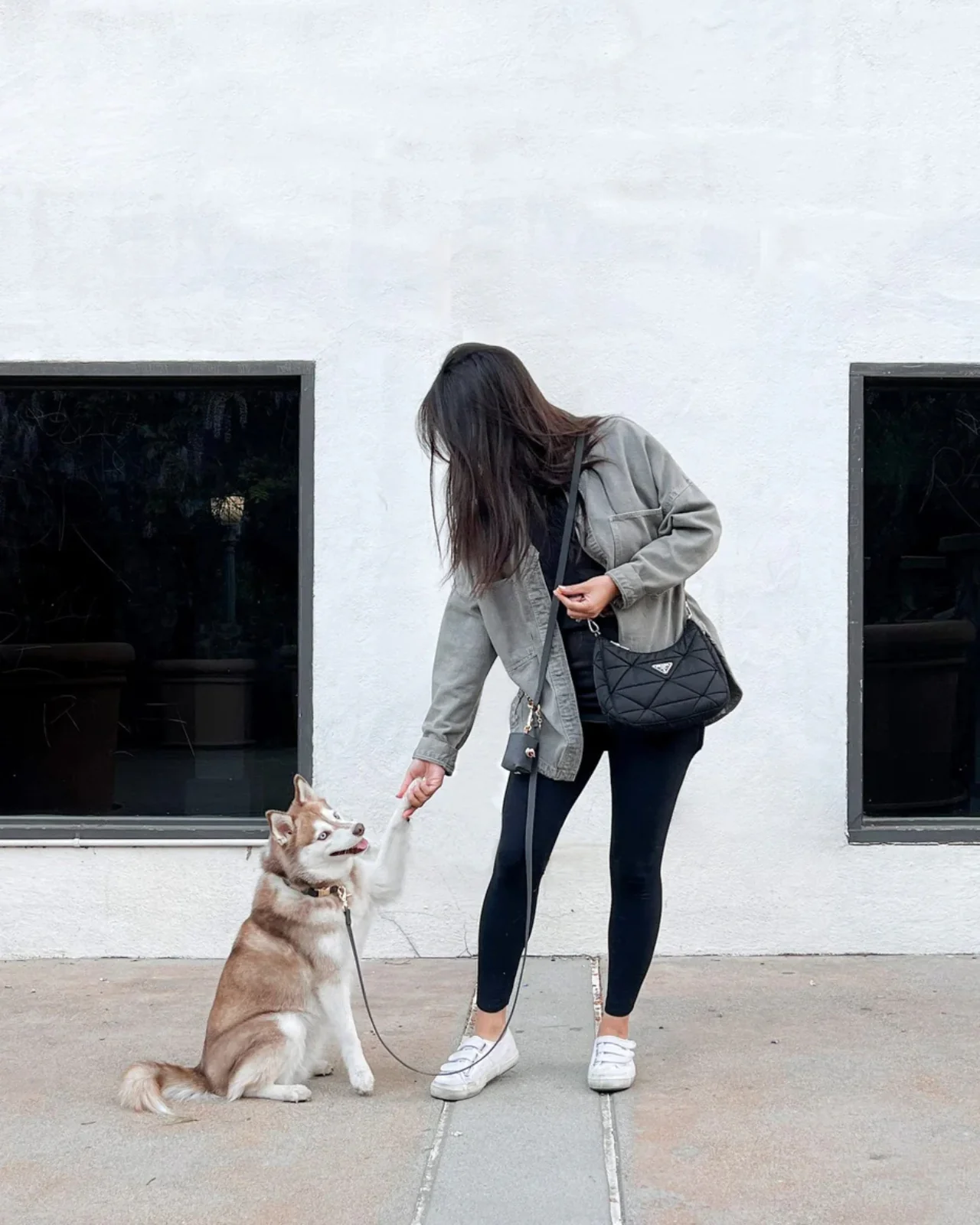 4-in-1 Convertible Hands Free Dog Leash in Ember Black - Image 4