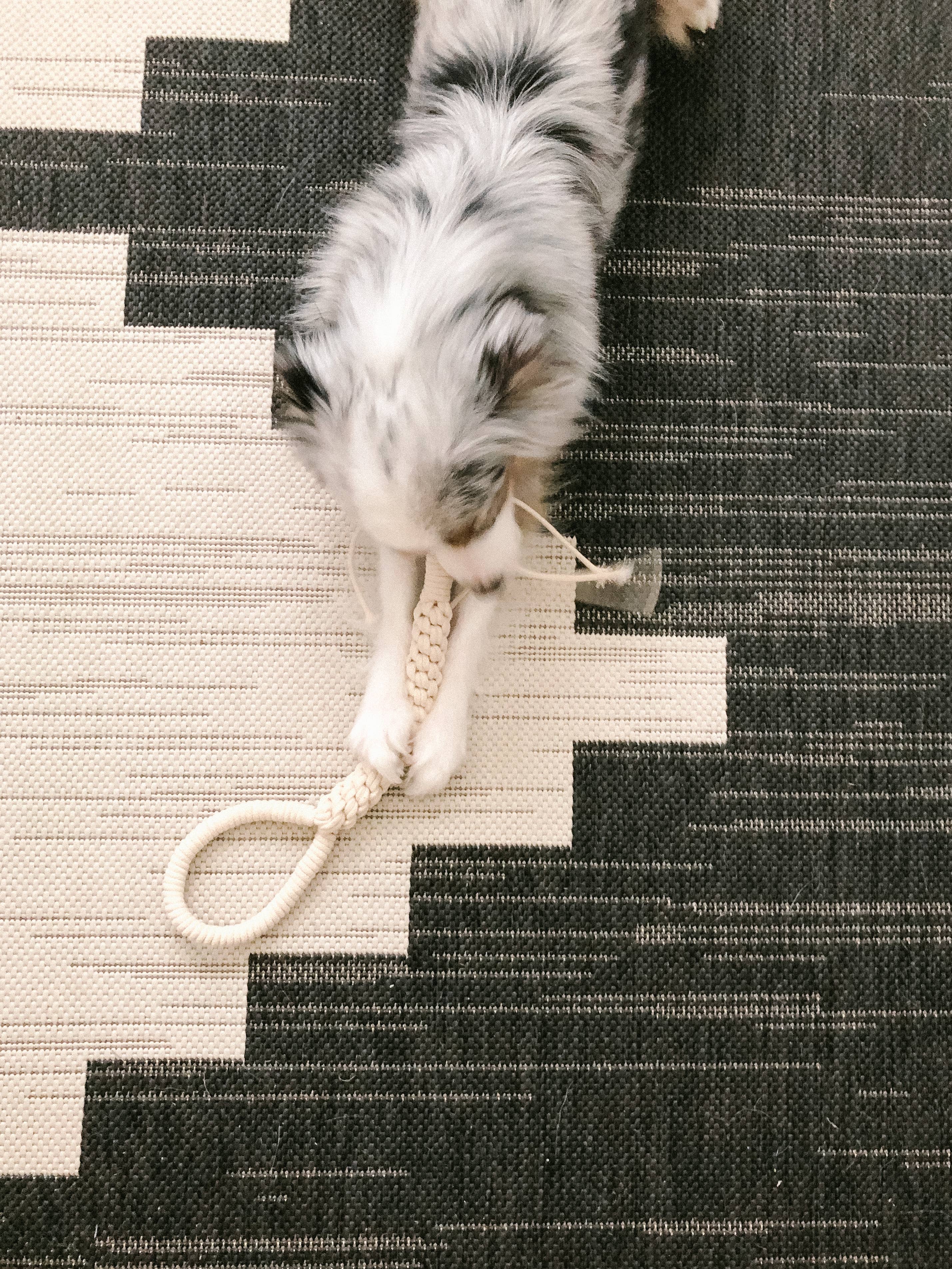 Macrame Rope Cotton Dog Tug Toy in Ivory (Made in the USA) - Image 7