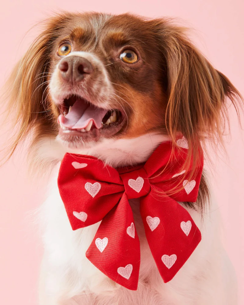 Embroidered Hearts Dog Lady Bow (Made in the USA)