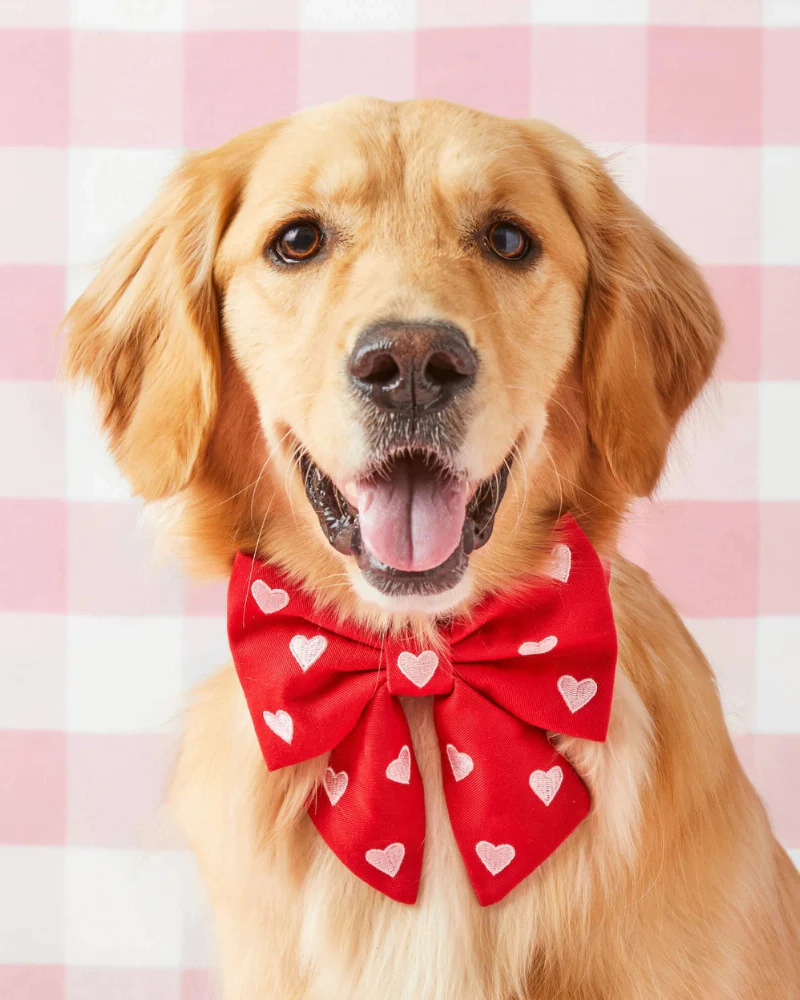 Embroidered Hearts Dog Lady Bow (Made in the USA) - Image 4