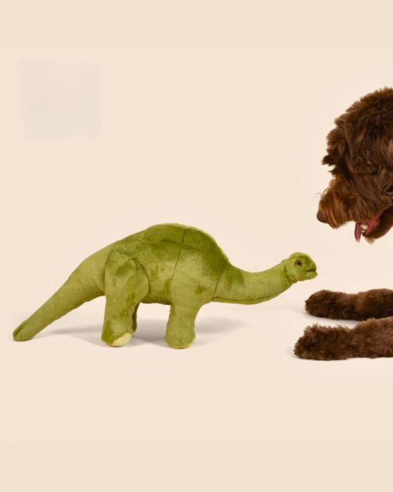 Emily Brontosaurus Squeaky Dog Plush Toy - Image 2