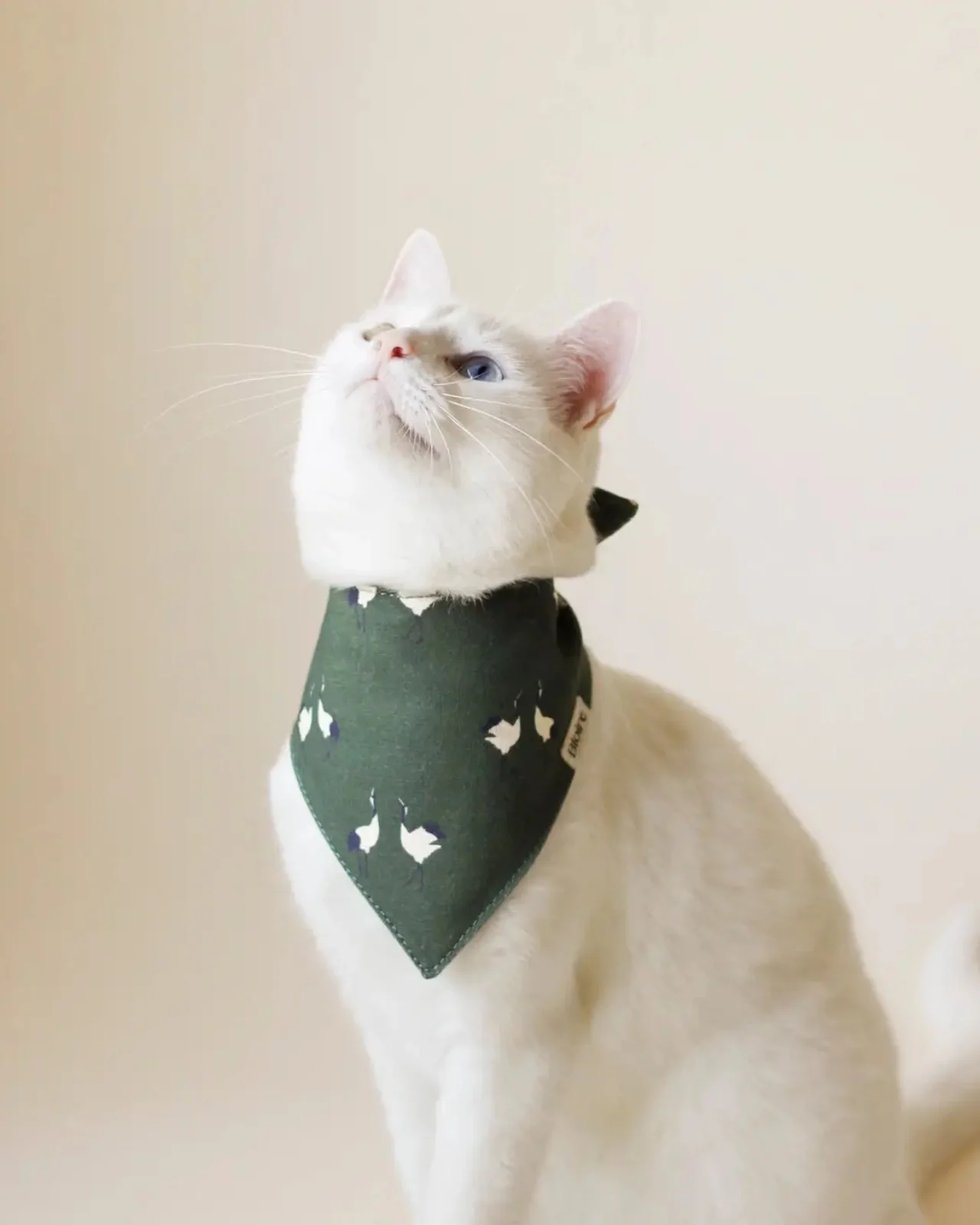 English Countryside Pet Bandana - Image 2