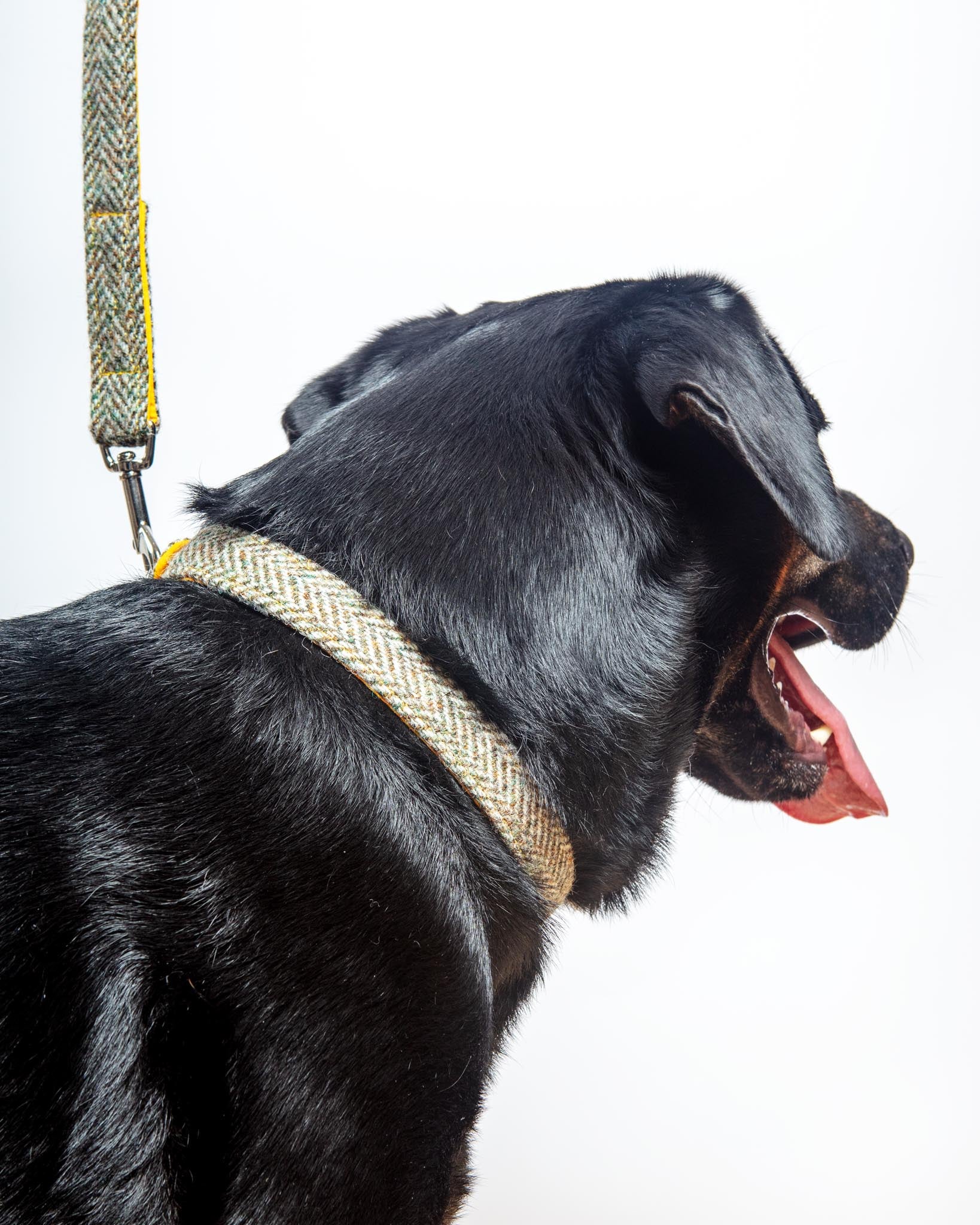 Eriskay Tweed Collar + Leash Set (Made in the UK) - Image 5