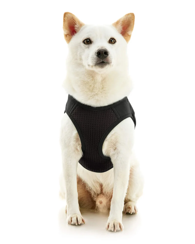 Escape-Free Easy Fit Plus Dog Harness (FINAL SALE) - Image 3