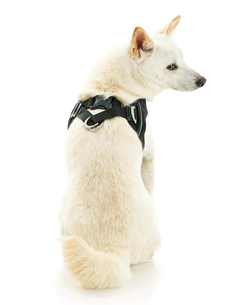 Escape-Free Easy Fit Plus Dog Harness (FINAL SALE) - Image 5