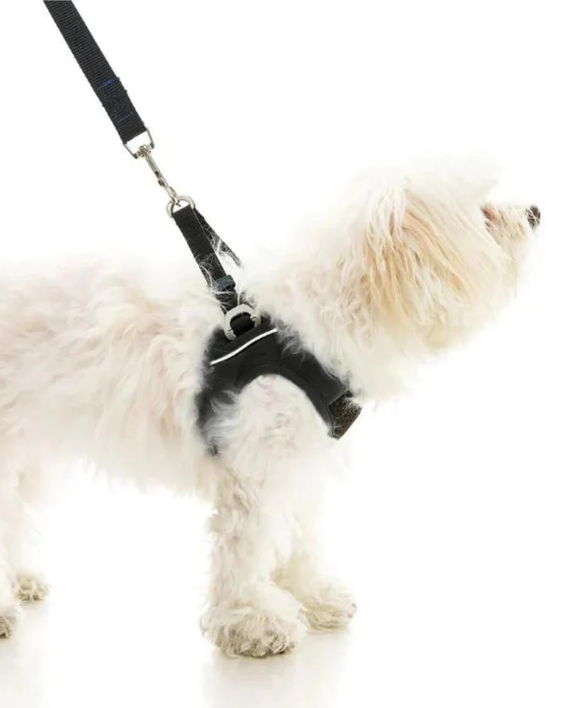 Escape-Free Easy Fit Plus Dog Harness (FINAL SALE) - Image 6