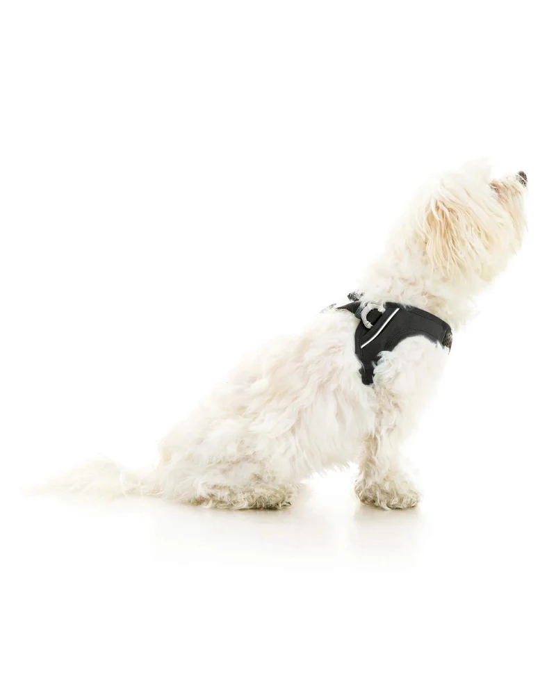 Escape-Free Easy Fit Plus Dog Harness (FINAL SALE) - Image 7