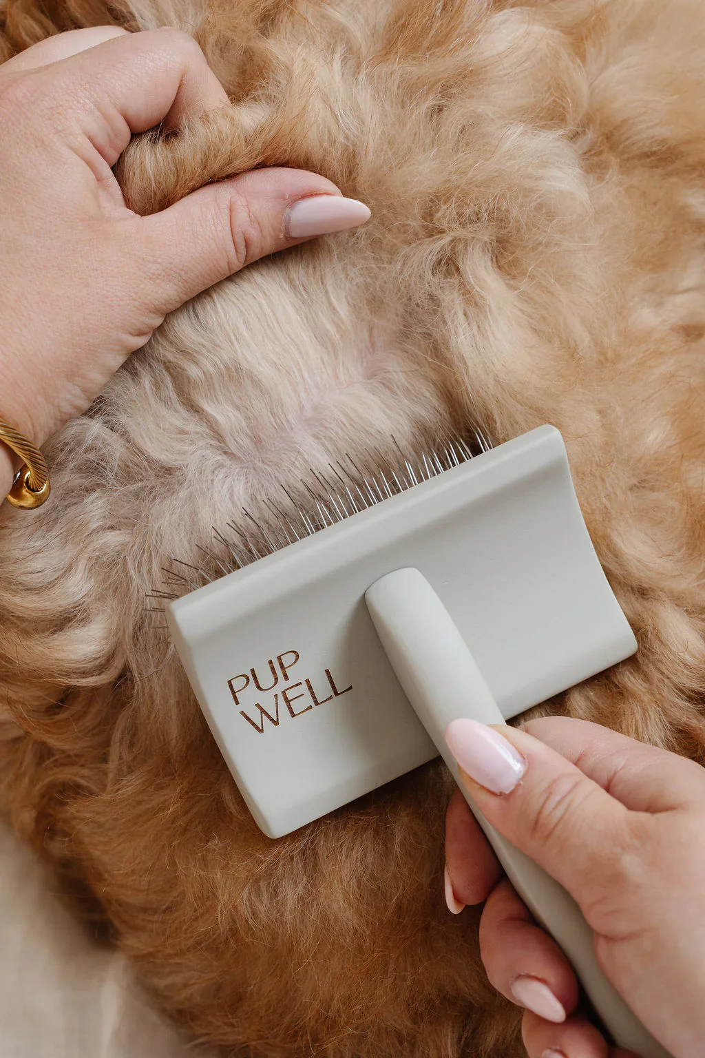 Everyday Slicker Brush for Dogs - Image 15